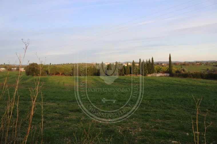 Terreno para Venda em Madalena e Beselga Foto 29