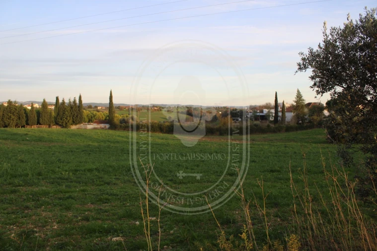 Terreno para Venda em Madalena e Beselga Foto 30