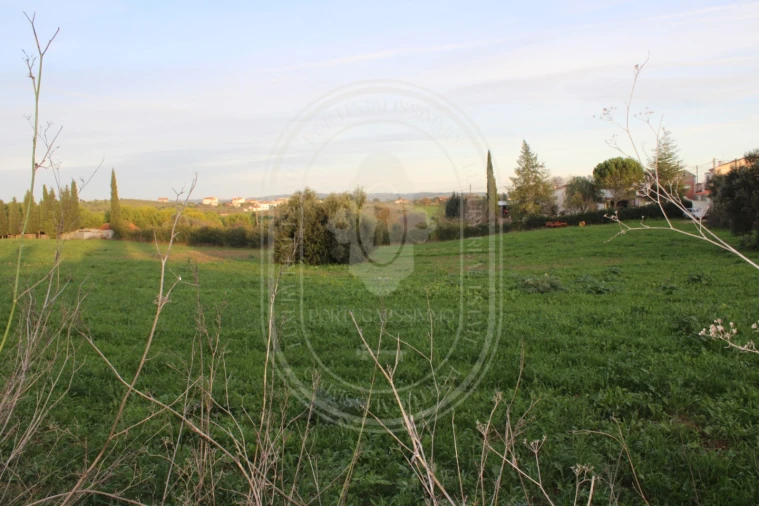 Terreno para Venda em Madalena e Beselga Foto 31