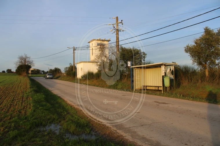 Terreno para Venda em Madalena e Beselga Foto 32