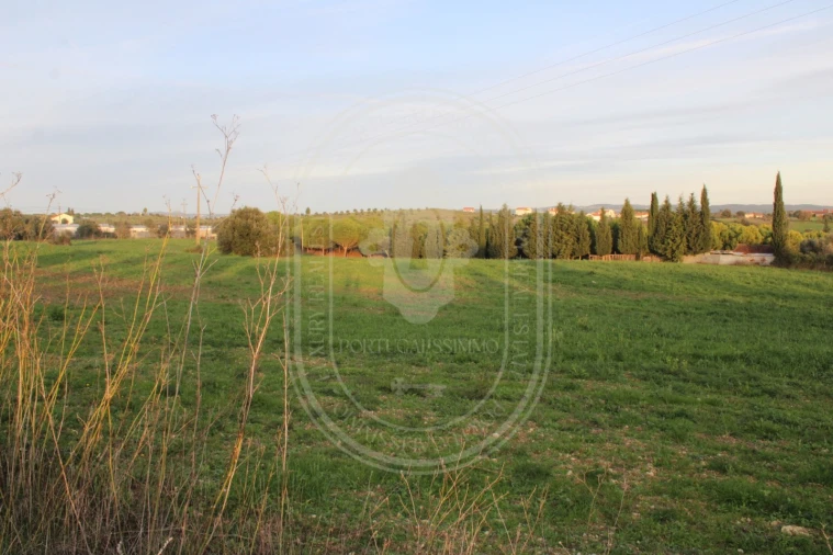Terreno para Venda em Madalena e Beselga Foto 1
