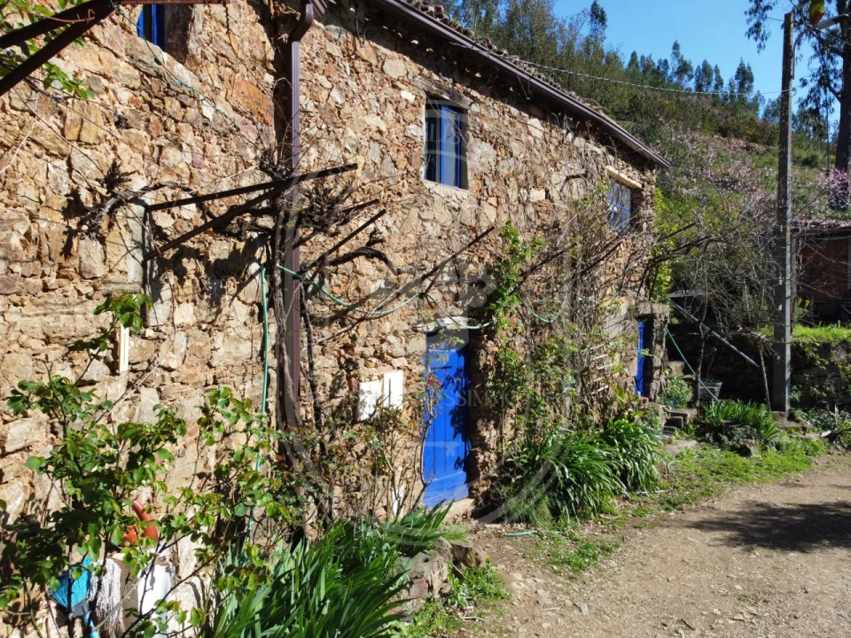 Negócio para Venda em Figueiró dos Vinhos e Bairradas Foto 45