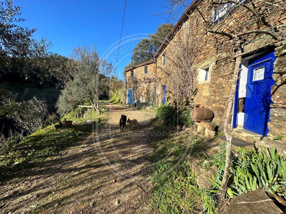 Negócio para Venda em Figueiró dos Vinhos e Bairradas Foto 46
