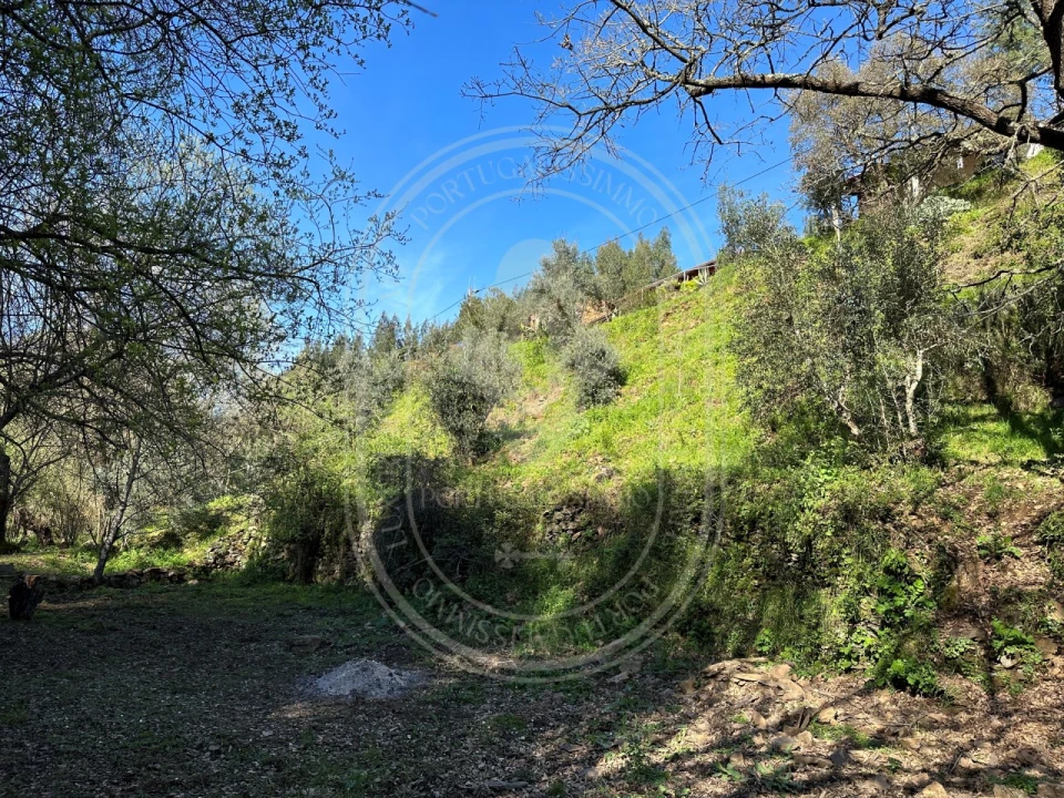 Negócio para Venda em Figueiró dos Vinhos e Bairradas Foto 50