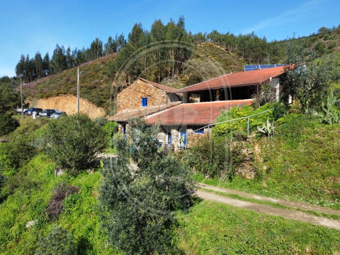 Negócio para Venda em Figueiró dos Vinhos e Bairradas Foto 3