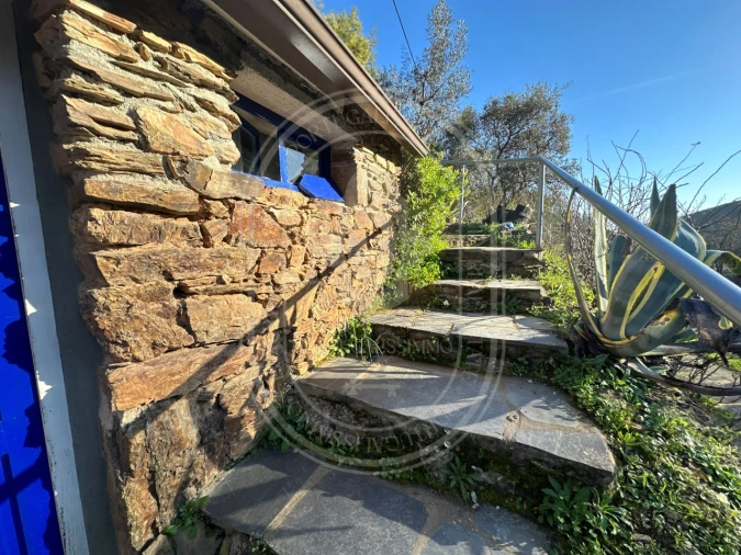 Negócio para Venda em Figueiró dos Vinhos e Bairradas Foto 6