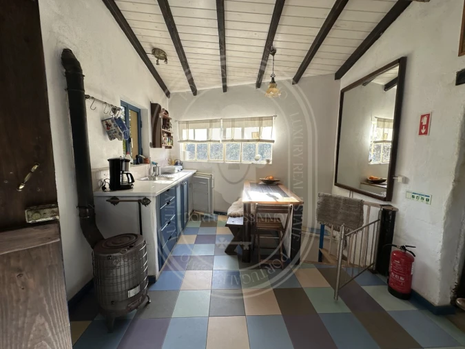 Negócio para Venda em Figueiró dos Vinhos e Bairradas Foto 15