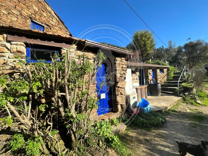 Negócio para Venda em Figueiró dos Vinhos e Bairradas Foto 36