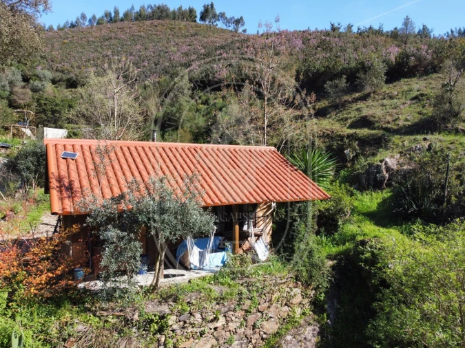 Negócio para Venda em Figueiró dos Vinhos e Bairradas Foto 39