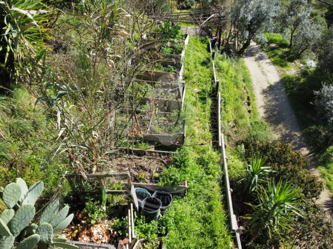Negócio para Venda em Figueiró dos Vinhos e Bairradas Foto 43