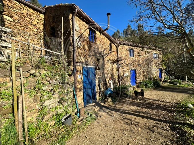 Negócio para Venda em Figueiró dos Vinhos e Bairradas Foto 47
