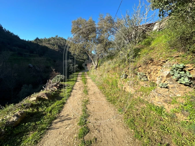 Negócio para Venda em Figueiró dos Vinhos e Bairradas Foto 48