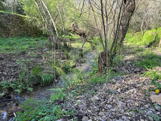 Negócio para Venda em Figueiró dos Vinhos e Bairradas Foto 54