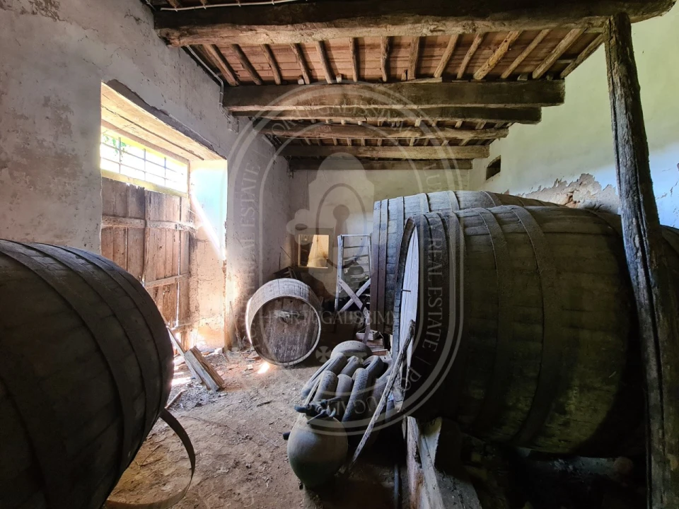 Moradia T18 para Venda em Areias e Pias Foto 48