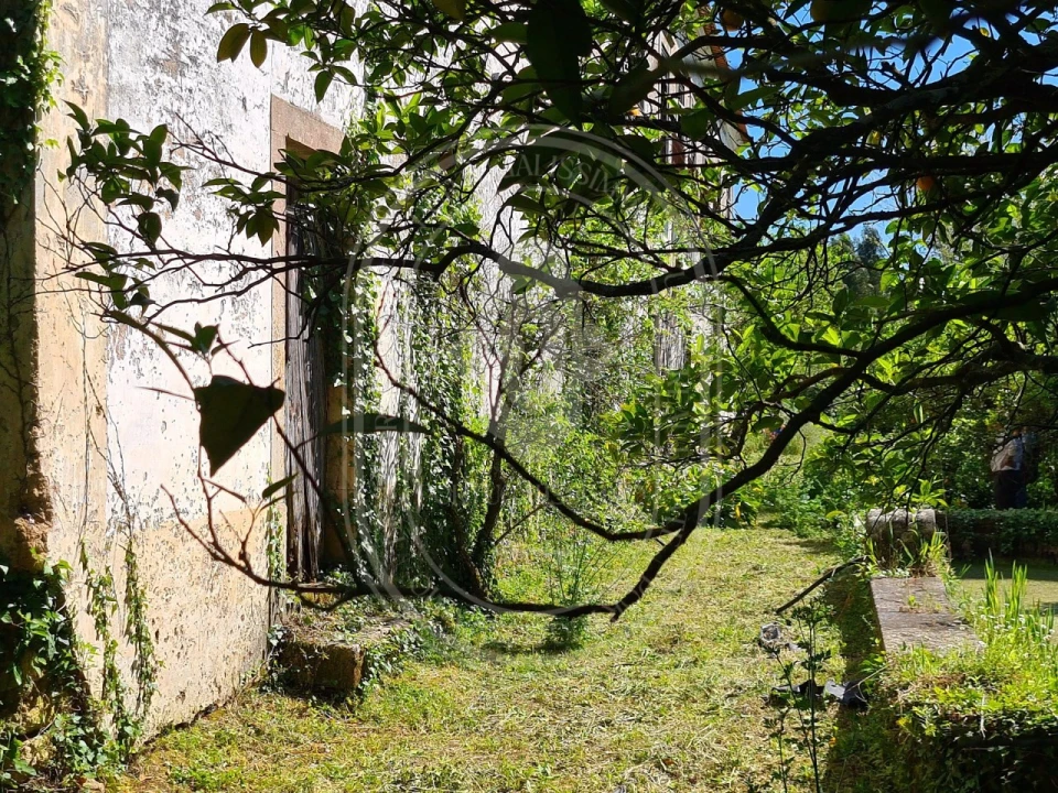 Moradia T18 para Venda em Areias e Pias Foto 53