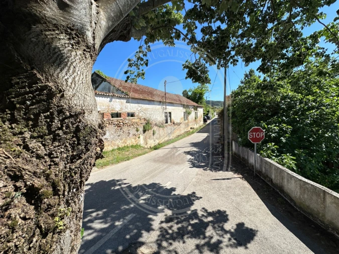 Moradia T18 para Venda em Areias e Pias Foto 62