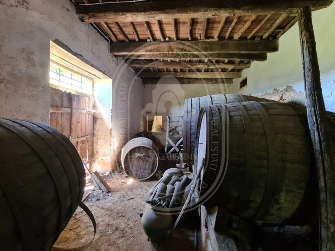 Moradia T18 para Venda em Areias e Pias Foto 48