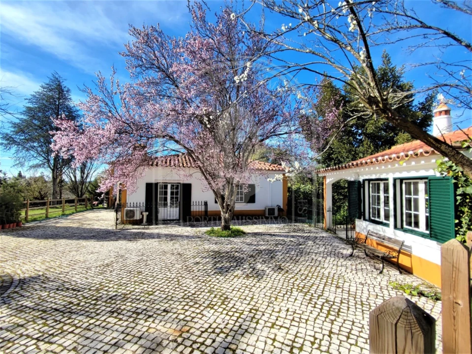 Moradia T4 para Venda em Paialvo Foto 54