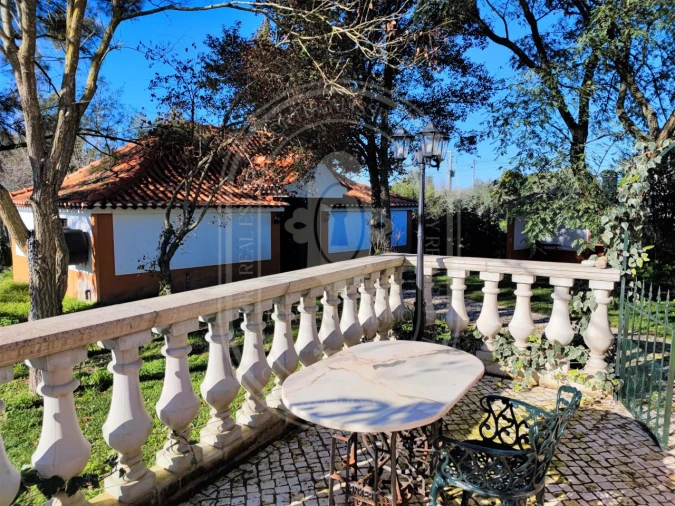 Moradia T4 para Venda em Paialvo Foto 35