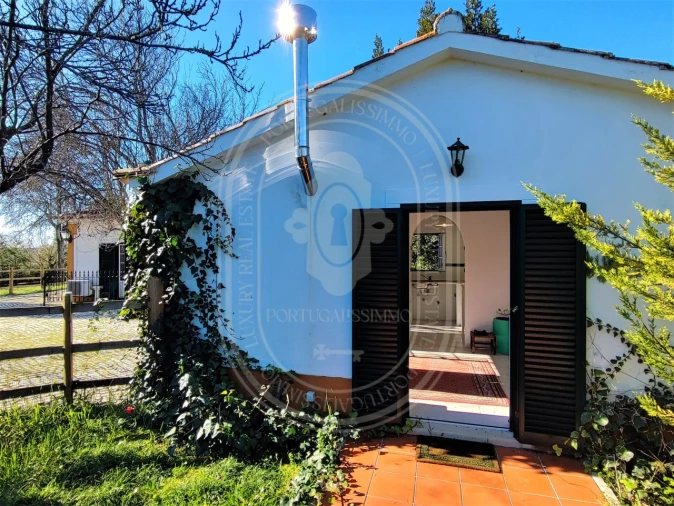 Moradia T4 para Venda em Paialvo Foto 50