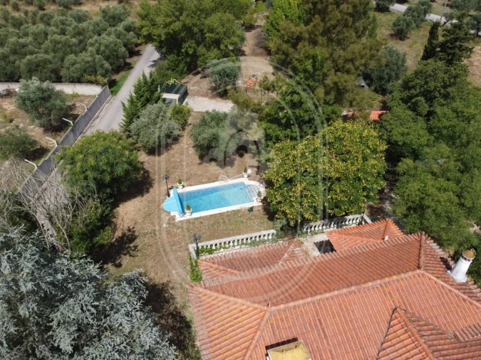 Moradia T4 para Venda em Paialvo Foto 52