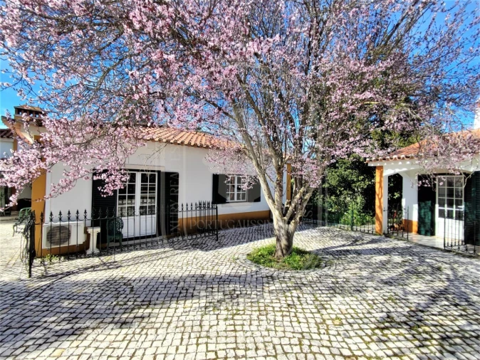 Moradia T4 para Venda em Paialvo Foto 1