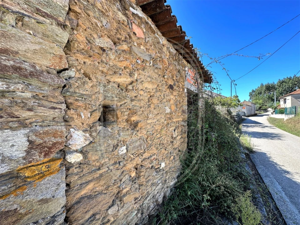 Terreno para Venda em Beco Foto 6