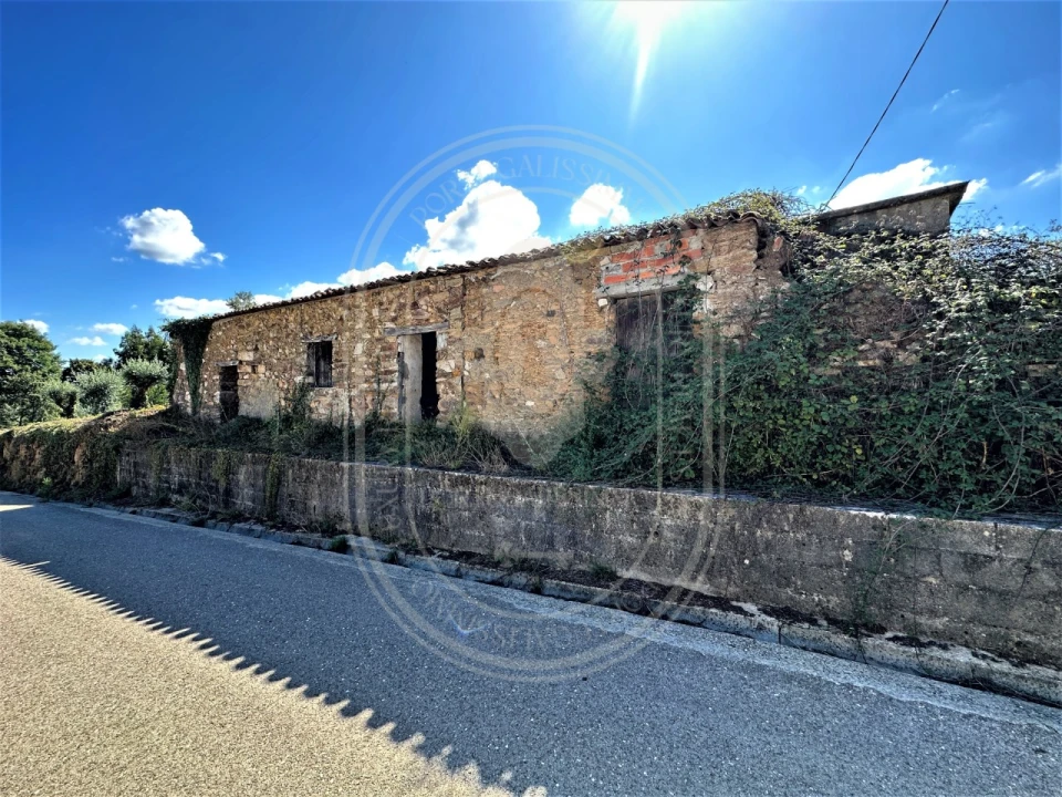 Terreno para Venda em Beco Foto 1