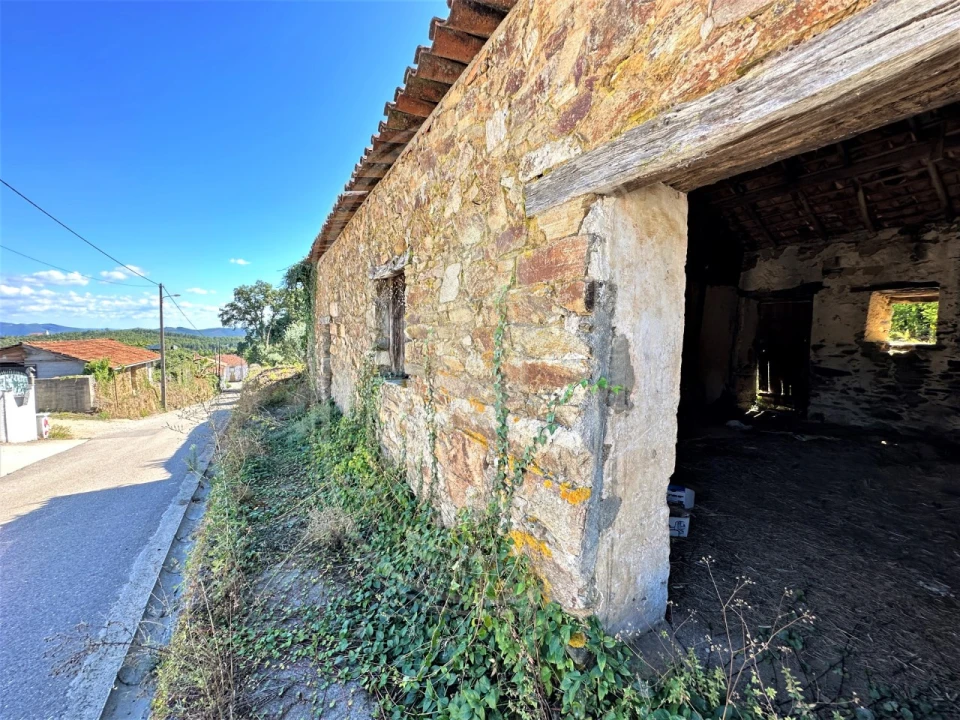 Terreno para Venda em Beco Foto 7