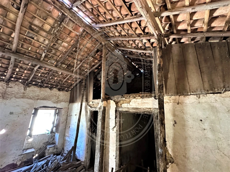 Terreno para Venda em Beco Foto 18