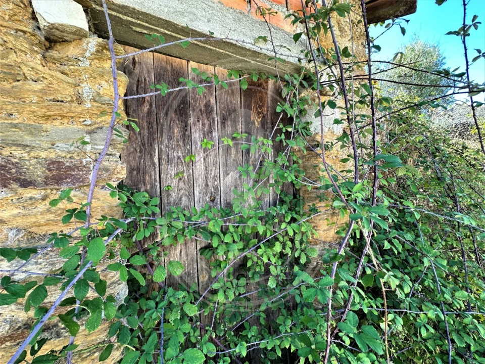 Terreno para Venda em Beco Foto 25