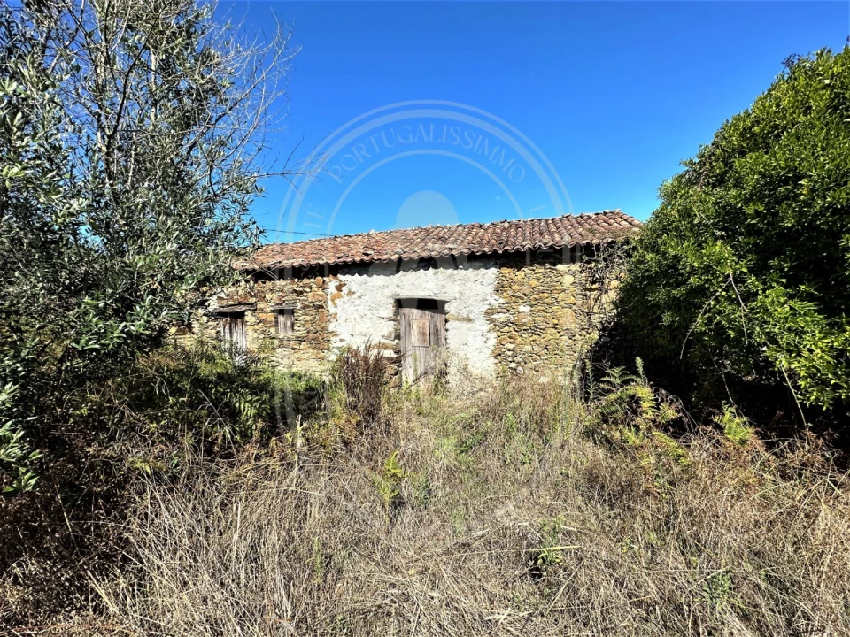 Terreno para Venda em Beco Foto 28