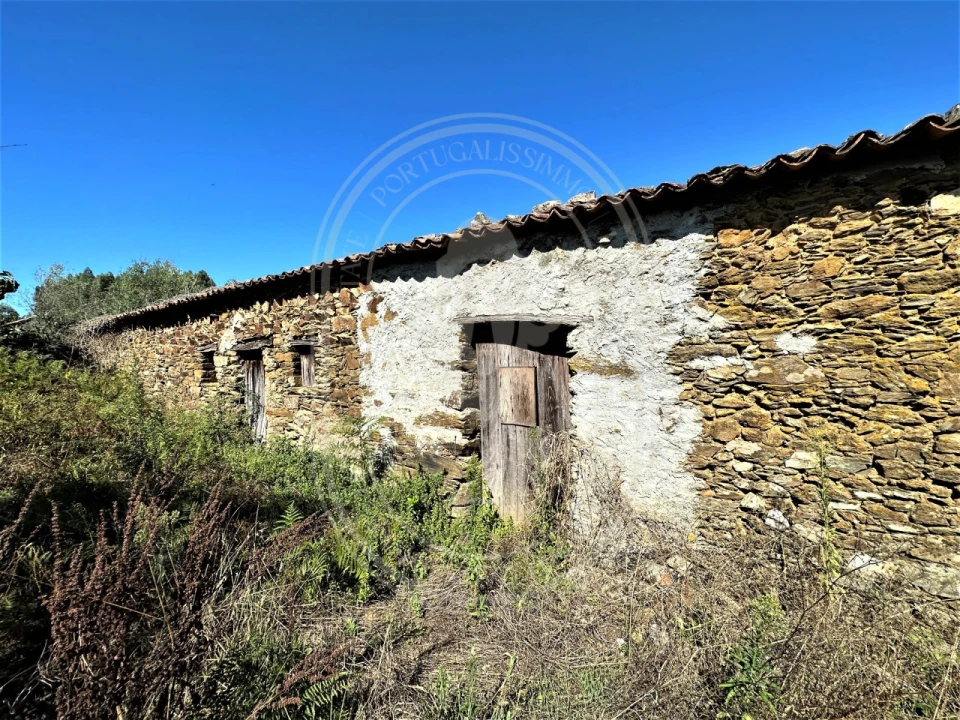 Terreno para Venda em Beco Foto 30