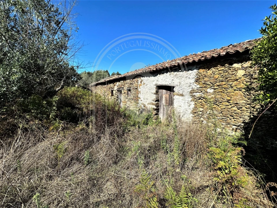 Terreno para Venda em Beco Foto 31