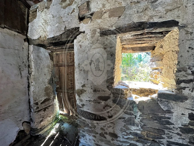 Terreno para Venda em Beco Foto 15