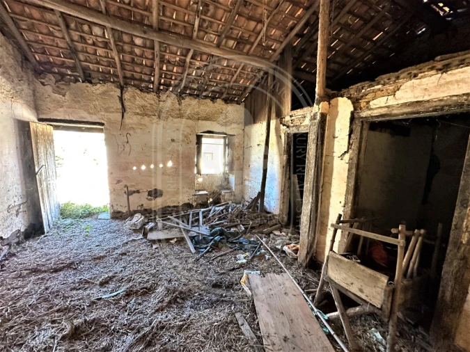 Terreno para Venda em Beco Foto 19