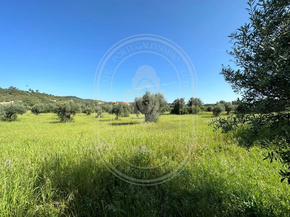 Moradia T2 para Venda em Chãos Foto 34