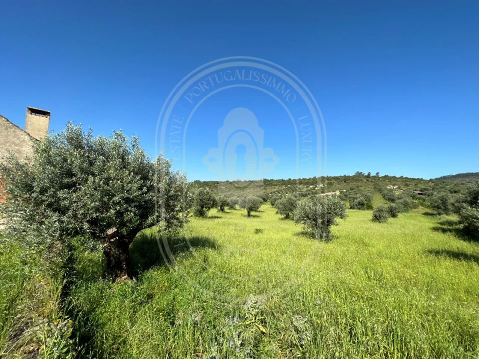 Moradia T2 para Venda em Chãos Foto 35