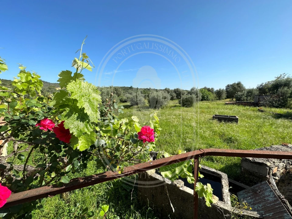 Moradia T2 para Venda em Chãos Foto 37