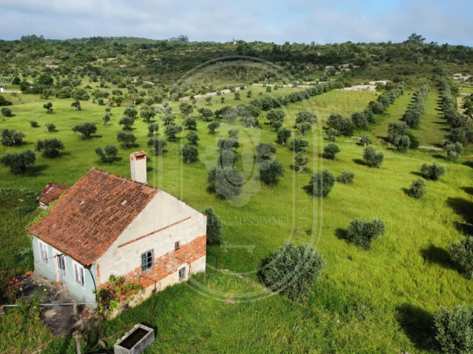 Moradia T2 para Venda em Chãos Foto 1