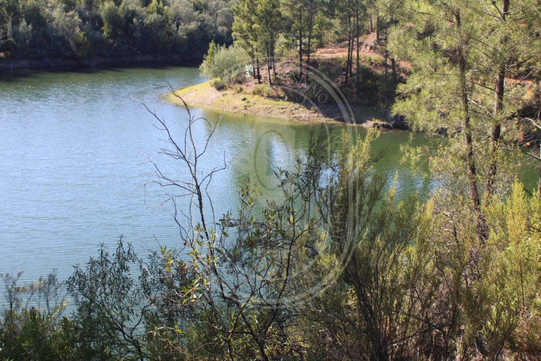 Terreno Agricola ou Rústico para Venda em Serra e Junceira Foto 6