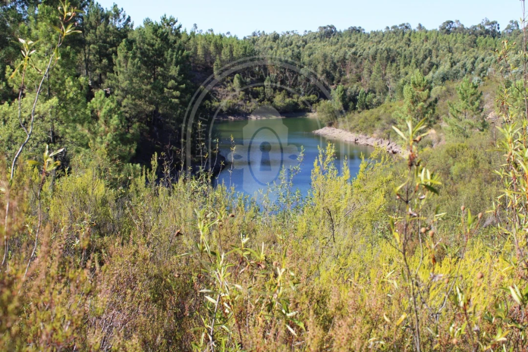 Terreno Agricola ou Rústico para Venda em Serra e Junceira Foto 10