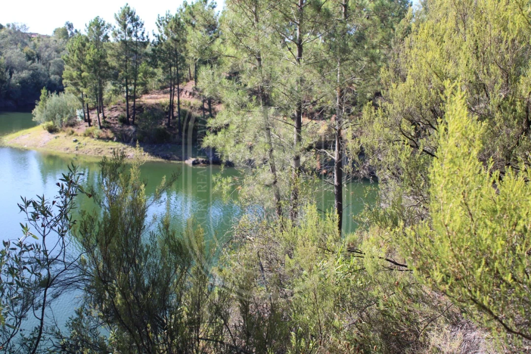 Terreno Agricola ou Rústico para Venda em Serra e Junceira Foto 11