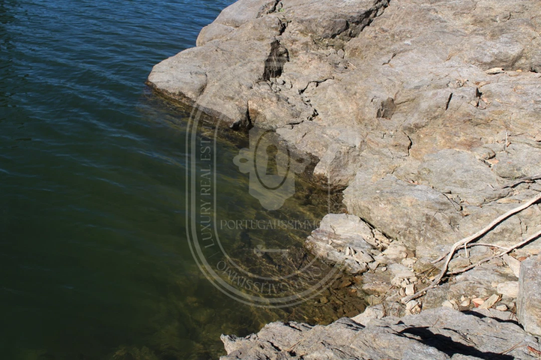 Terreno Agricola ou Rústico para Venda em Serra e Junceira Foto 14