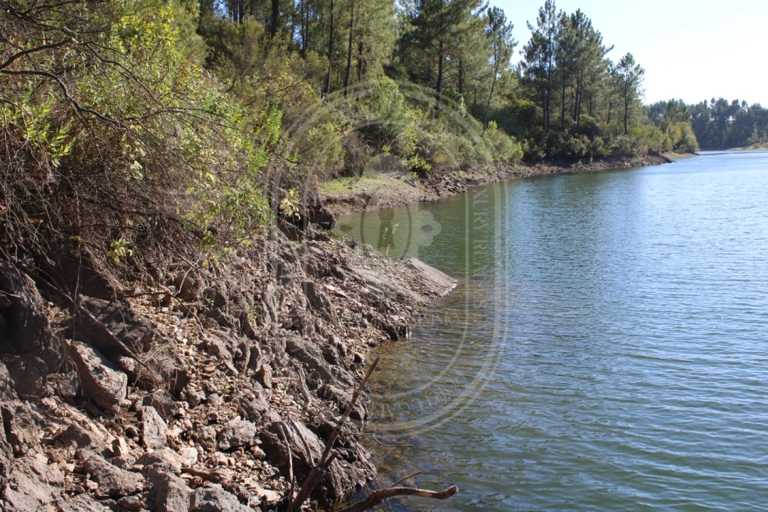 Terreno Agricola ou Rústico para Venda em Serra e Junceira Foto 15