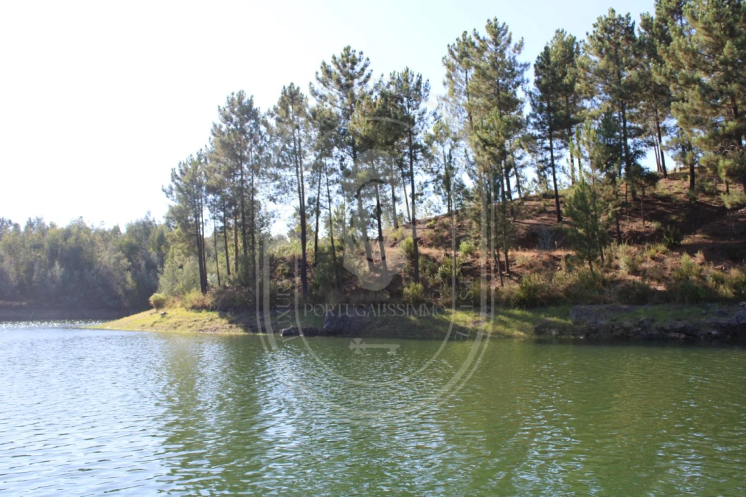 Terreno Agricola ou Rústico para Venda em Serra e Junceira Foto 17