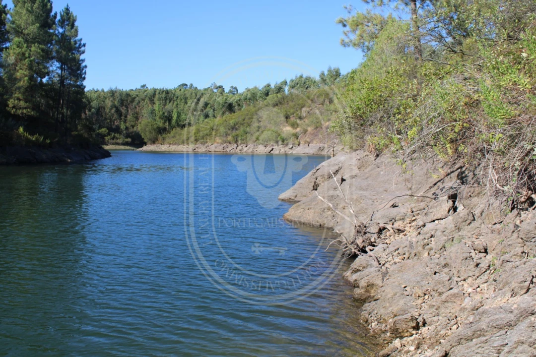 Terreno Agricola ou Rústico para Venda em Serra e Junceira Foto 20
