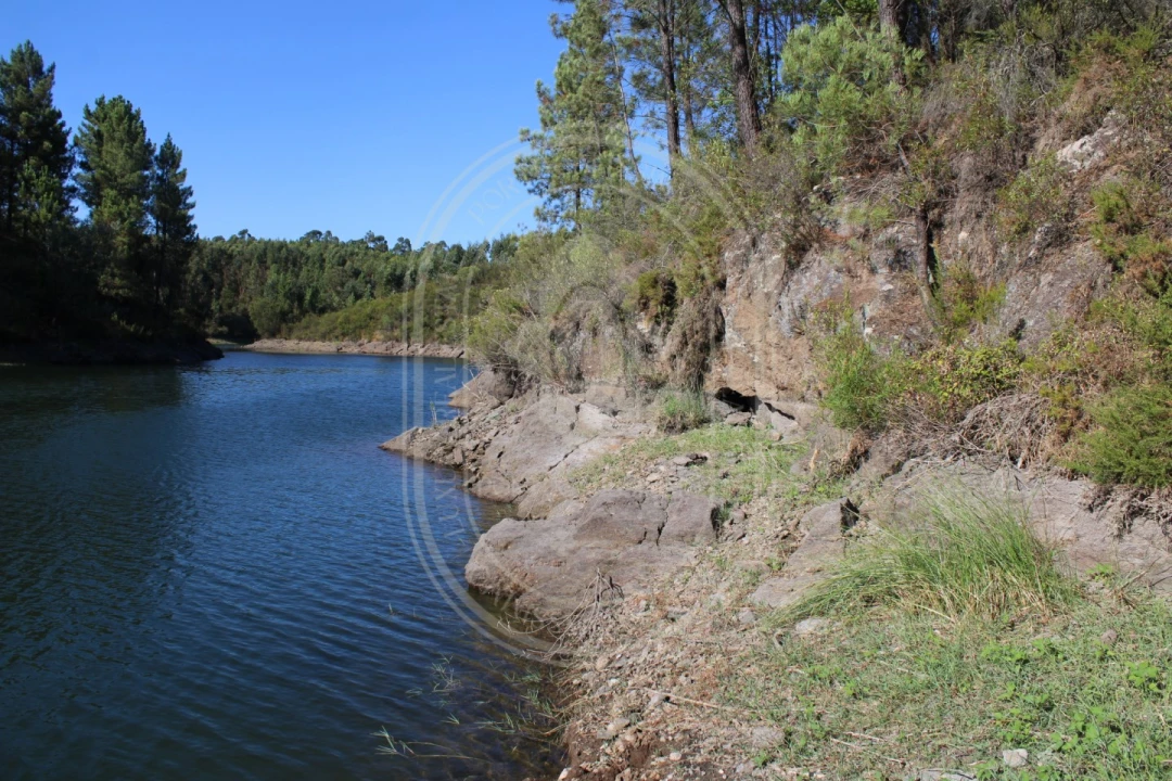 Terreno Agricola ou Rústico para Venda em Serra e Junceira Foto 21