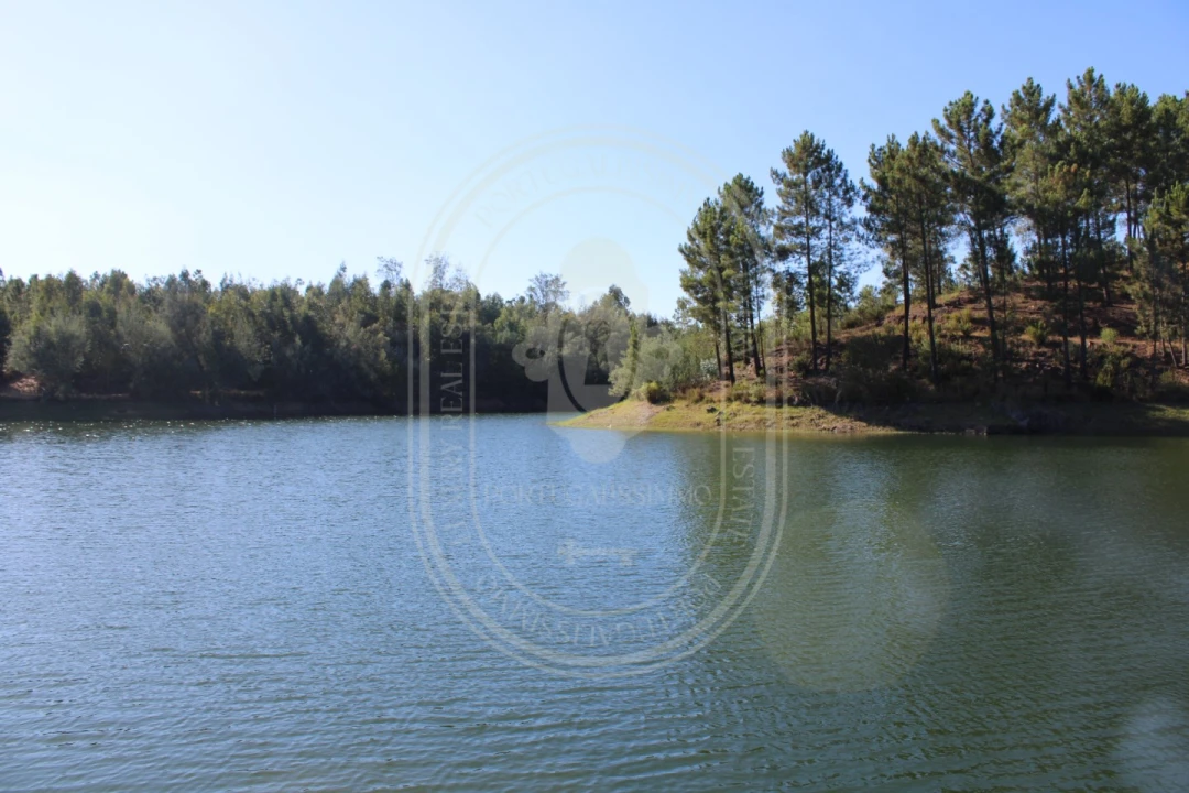 Terreno Agricola ou Rústico para Venda em Serra e Junceira Foto 27