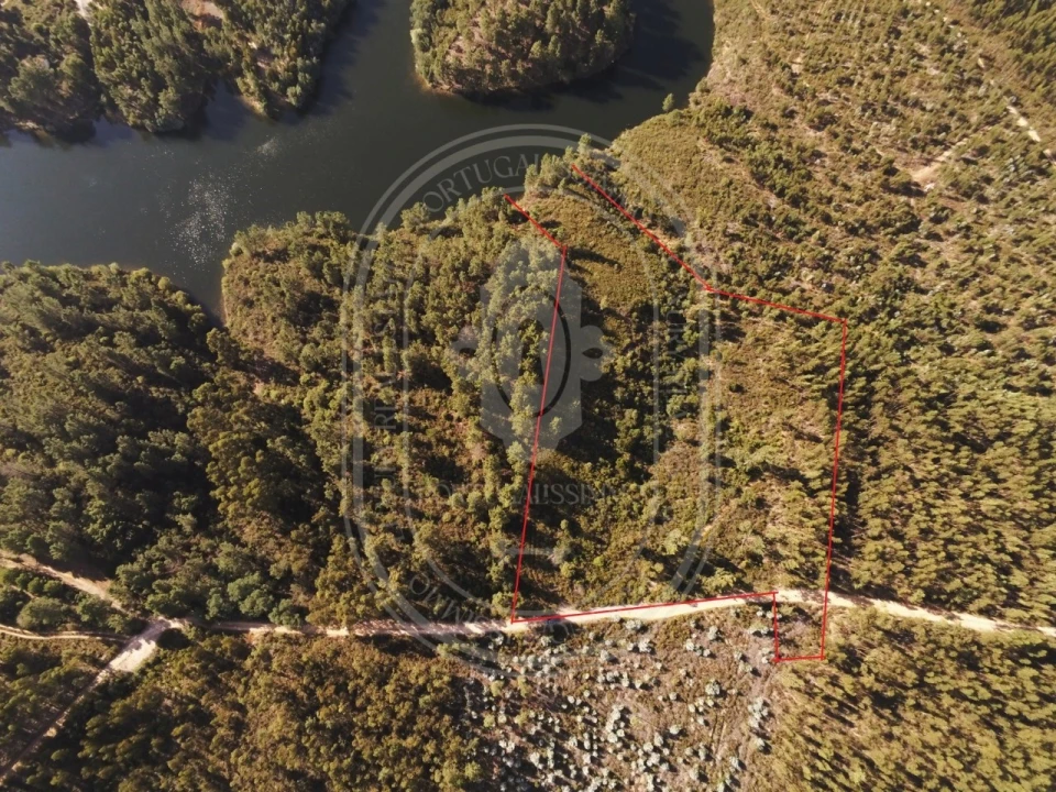 Terreno Agricola ou Rústico para Venda em Serra e Junceira Foto 4